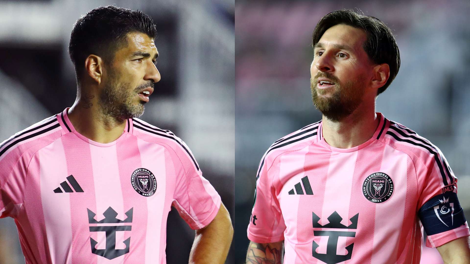 正如迪诺在 正如迪诺在