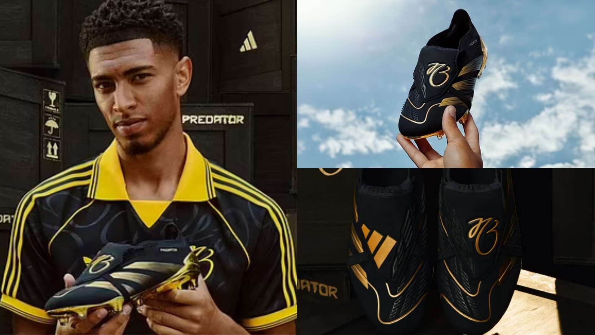 但可以肯定 但可以肯定